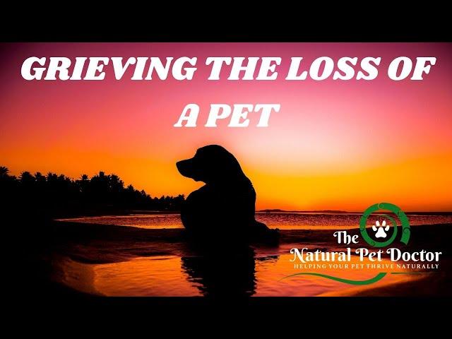 The Natural Pet Doctor - Grieving the Loss of a Pet