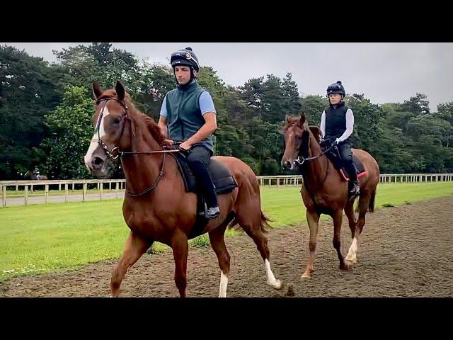 A day in the life of a racing yard.