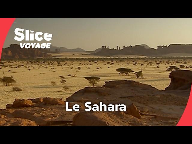 Un éden au sahara I SLICE VOYAGE
