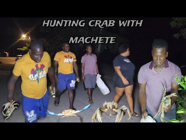 late night hunting for blue crab  and mud crab with teabag & pressa back from brazil 