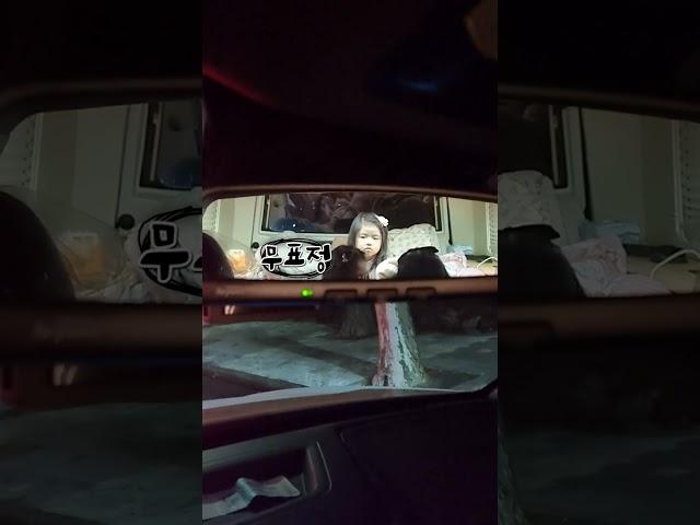 어~ 모야~ 나 찌겅~? 엄훠 부끄렁ㅎㅎ #shorts