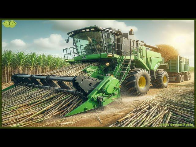 Sugar Mega Factory: Harvesting & Producing Billions of Tons from Sugarcane and Sugar Beets