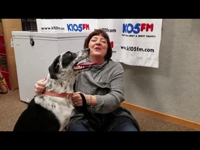 K105 PET OF THE WEEK