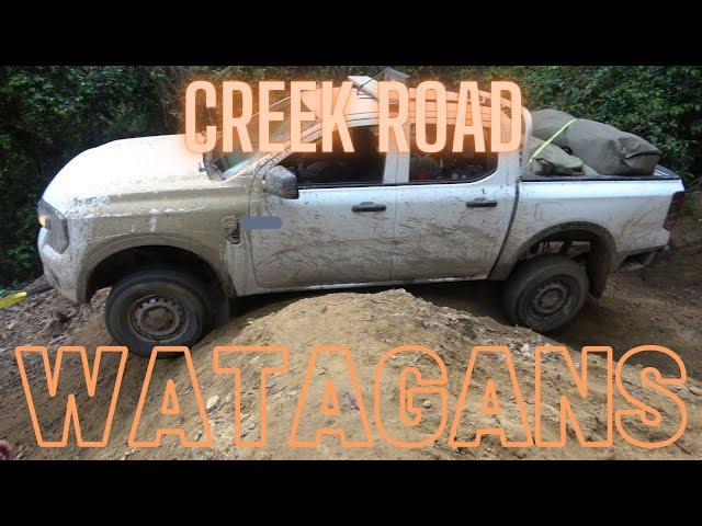 Watagans - Creek Rd