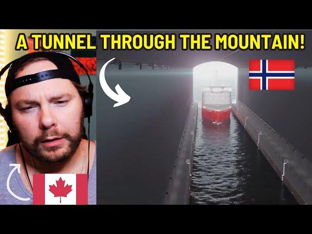 Canadian Reacts to Norway's Cruise Ship Tunnel Plan Explained