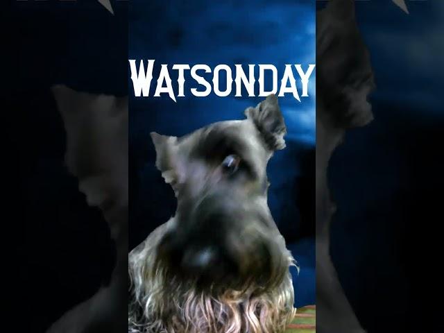 Encuentra a Watson en Wednesday #shorts #watsonelscottie