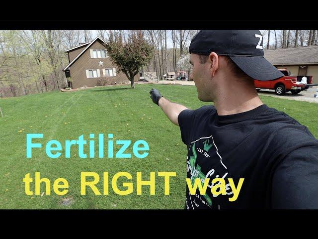 WHEN and HOW to FERTILIZE your lawn