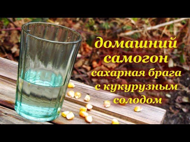 Сахарный самогон на кукурузном солоде. Домашний спиртной напиток