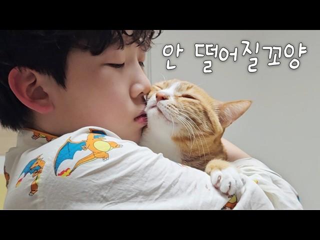 어디도 가지마 안아줘 사랑해줘 졸졸졸 따라다닐거야