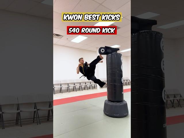 Kwon Best Kicks | Cobra Kai #shorts #martialarts #cobrakai