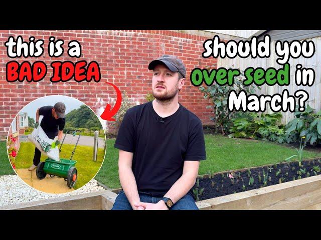 Should you OVER SEED your lawn in MARCH?