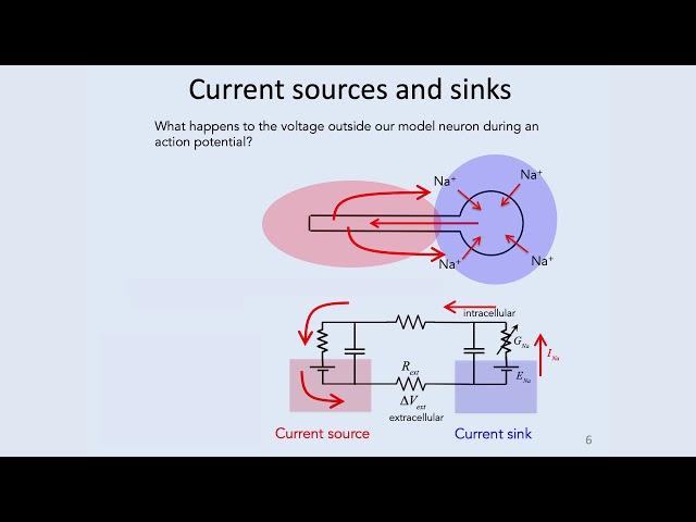 8: Spike Trains - Intro to Neural Computation