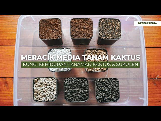 MERACIK MEDIA TANAM KAKTUS PREMIUM