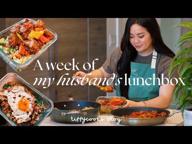 a week of husband’s lunchbox ep. 5  *cozy home-cooked recipes*