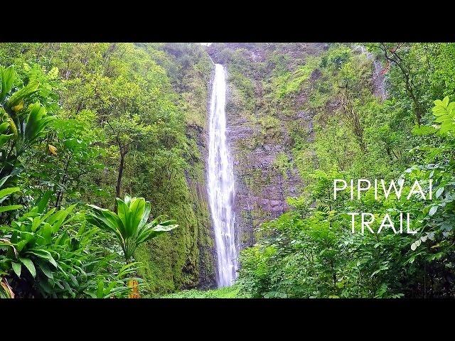 Maui's Best Hikes - Pipiwai Trail & Waimoku Falls