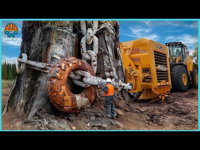 999 Amazing Fastest Big Tree Removal Bulldozers Working At Another Level