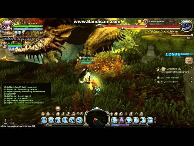 Dragon Nest SEA - Level60 Gladiator Green Dragon P3 Solo