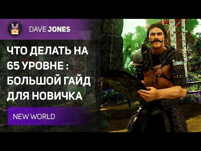 New World - ЧТО ДЕЛАТЬ НА 65 УРОВНЕ? БОЛЬШОЙ ГАЙД ДЛЯ НОВИЧКА