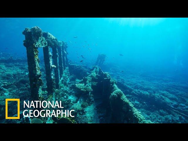 Морские глубины вместе с National Geographic Документальный фильм  National Geographic 2021 FULL HD