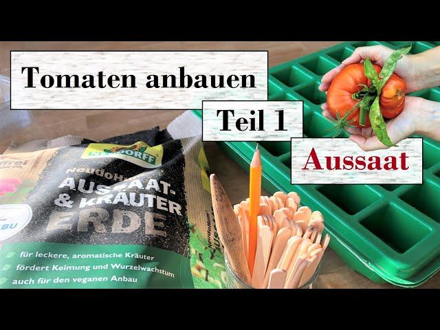 Tomaten anbauen Teil 1:  Aussaat  Tipps für eine erfolgreiche Anzucht & so säe ich Tomaten aus