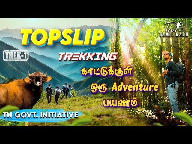 Adventurous Topslip Trekking in Forest | Pandaravarai Trek | How to get Permission & Details