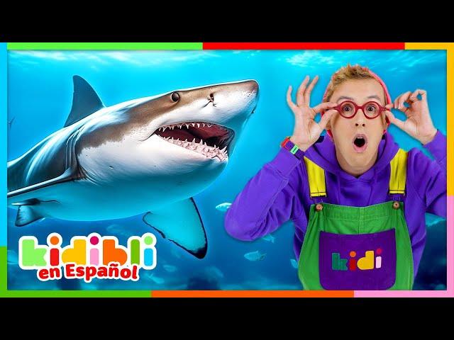 Aprendamos sobre tiburones y peces | Videos educativos para niños Kidibli