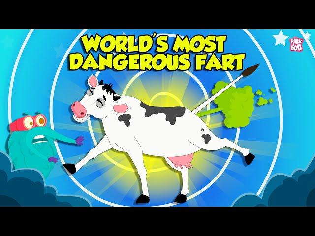 World's Most Dangerous Farts | Animals With Toxic Farts | The Dr. Binocs Show | Peekaboo Kidz