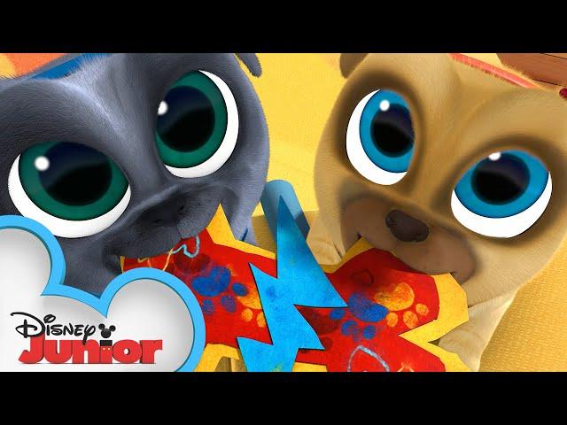 Happy Valentine's Day!  | Puppy Dog Pals | @disneyjr