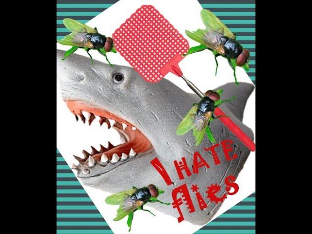 shark muppet hates flys