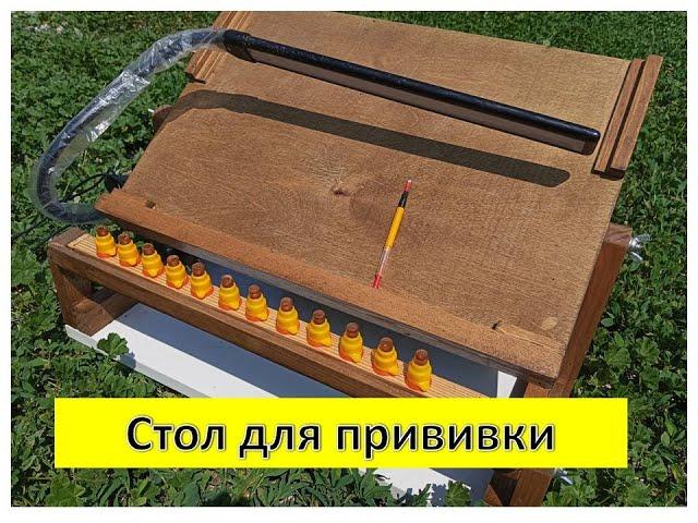Обзор стола для прививки личинок
