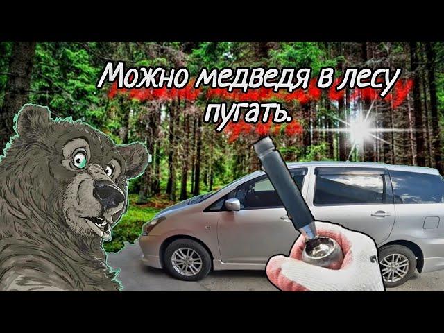 Toyota Wish ZNE10 замена рулевых тяг,наконечников,сайлентблоков задней балки.