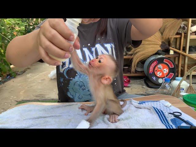 Mom, Milk Please! FiFi’s Adorable Request 