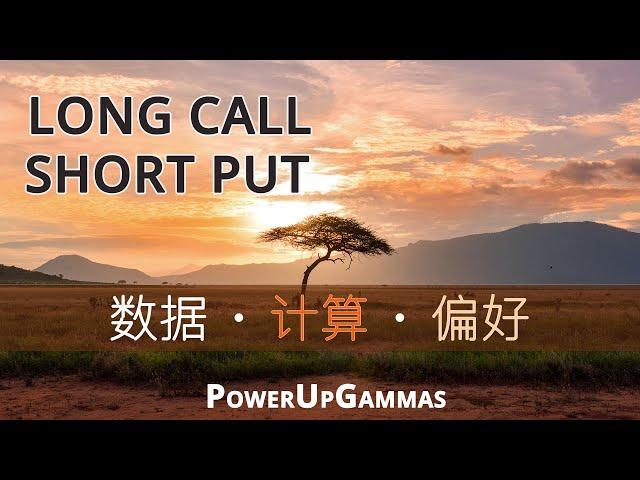 如何表达你的观点：Long Call 还是 Short Put Facts, Stats & Preference