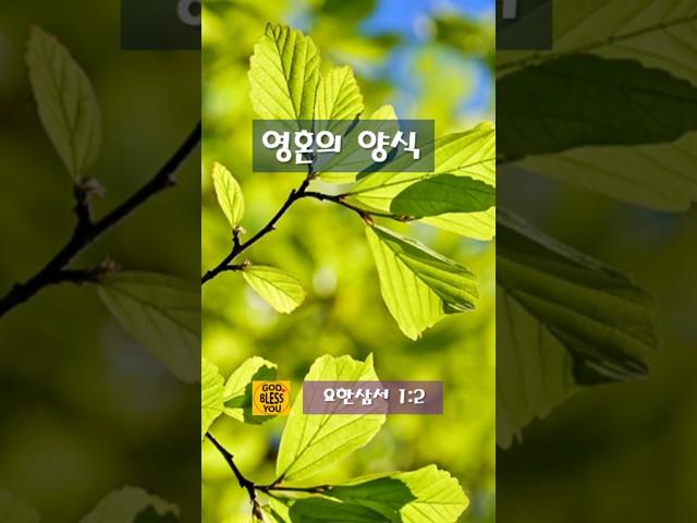 요한삼서1장2절_영혼의양식_매일1분말씀묵상_생명의말씀