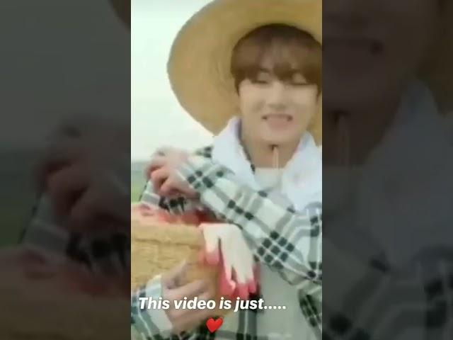 bts V as farmer #v farmer  