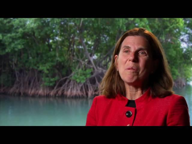 Lynne Hale - The Nature Conservancy