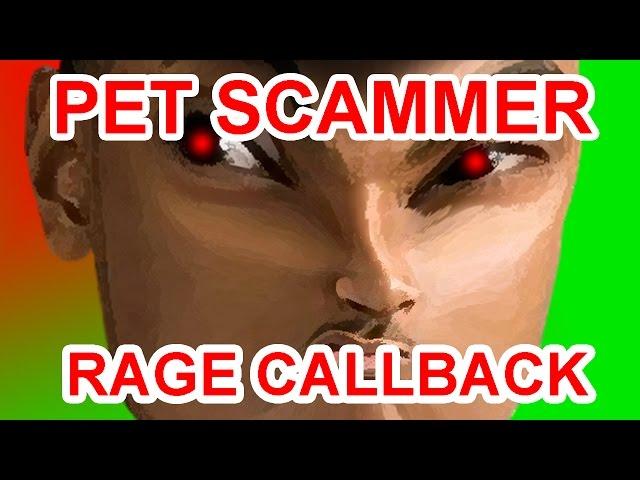 Crazy Callback To A Craigslist Pet Scammer - The Hoax Hotel