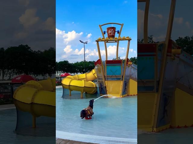 RIVER COUNTRY WATER PARK!! #shorts #youtube #youtubeshorts #viralvideo#trending #travel #reels #fun