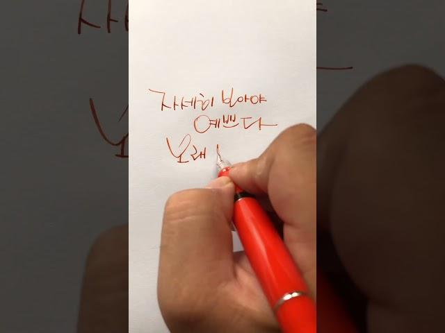 희망 메시지 - 만년필/딥펜/잉크/캘리그라피 #shorts