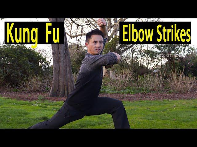 Shaolin Kung Fu Elbow Strikes Training - Da Hong Fist 大洪拳