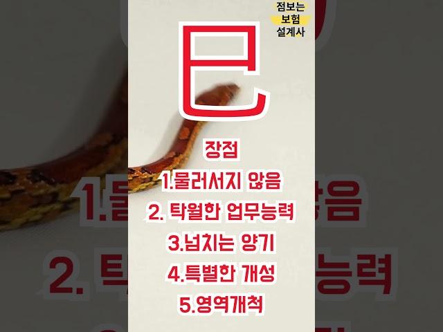 기초사주 풀이 지지 사화편 #사주 #보험 #상담 #타로 #문의 #사주팔자 #보험상담 #보험설계사 #사주풀이 #점사 #점집 #보험맛집 #사화 #천간 #지지 #유명한점집 #mbti