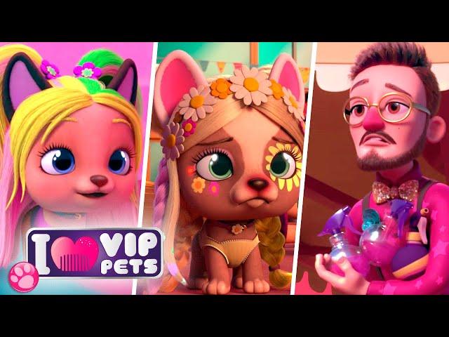  PERFECT EPISODES  VIP PETS  HAIRSTYLES ‍️ Full Episodes  CARTOONS for KIDS in ENGLISH