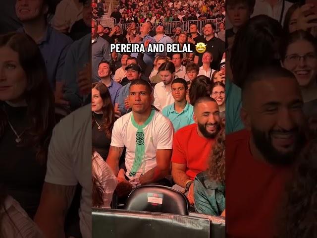 Pereira is having a blast with Belal  #UFC292