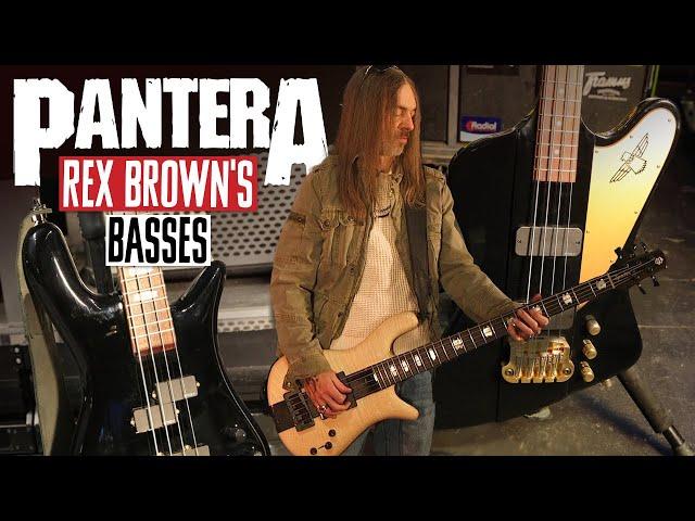 Rex Brown's Pantera Basses Featuring Gibson Thunderbirds and Spector 5 Strings