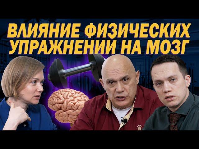 Как физическая активность влияет на мозговое кровообращение? Воздействие упражнений на головной мозг