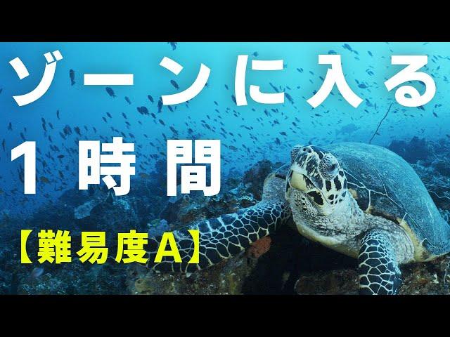 ゾーンに入るBGM 1時間の勉強耐久 60分タイマーで全集中 50bpm音楽