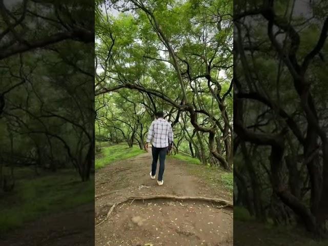 A small hike towards a temple named Gaurai Devi Mandir, Talegaon, Pune. 