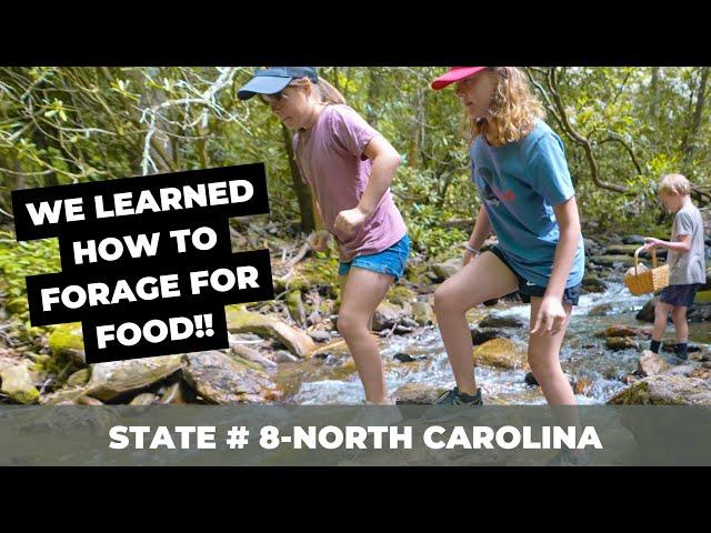 FORAGING FOR FOOD!!  | Asheville, North Carolina | We Found LOTS of Mushrooms!