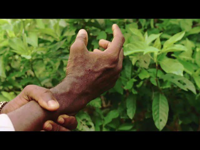 SHOT  CHAPTER ONE   Adenike AD TRAILER  Teaser