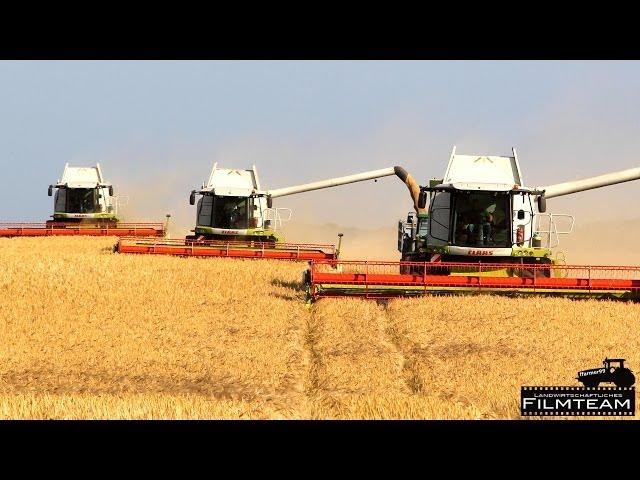 4 Claas Lexion 760 , 580 Mähdrescher am Gerste dreschen. Ernte 2014 in Lützow